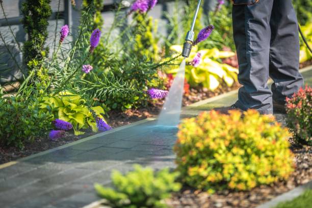 Best Driveway Pressure Washing  in Excelsior, MN