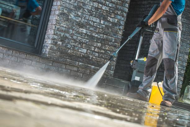 Best Graffiti Removal  in Excelsior, MN